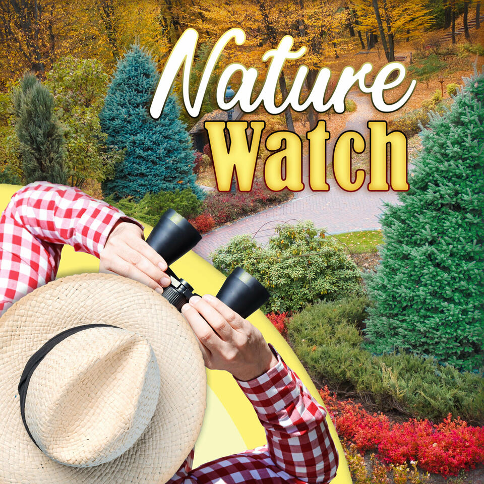 Nature Watch