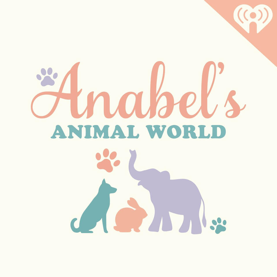 Anabel's Animal World
