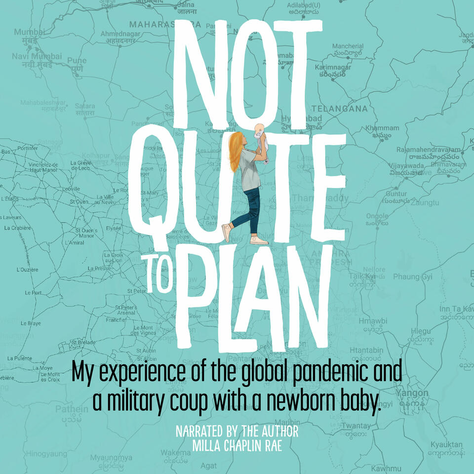 Not Quite to Plan Audiobook