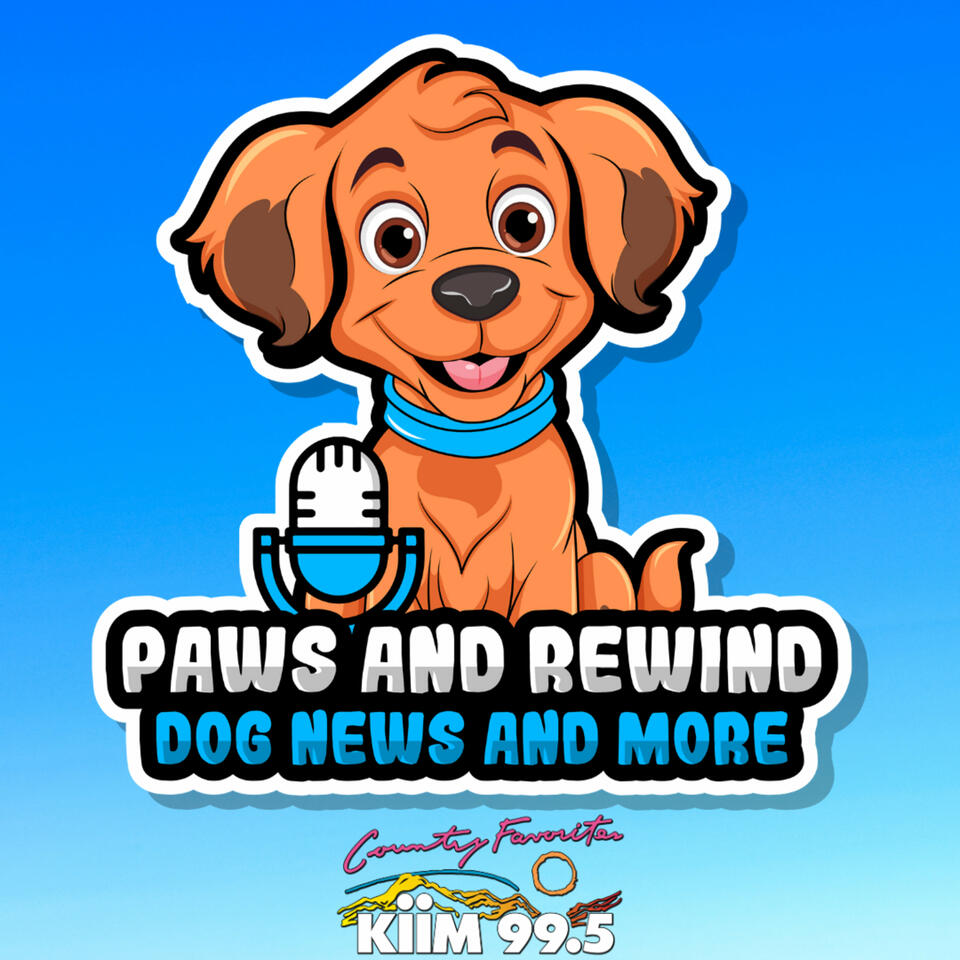Paws And Rewind: Dog News and More!