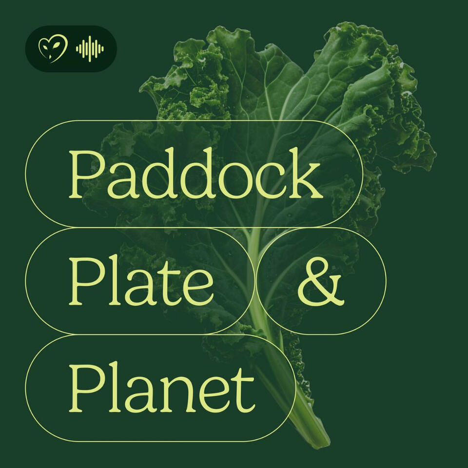 Paddock, Plate and Planet