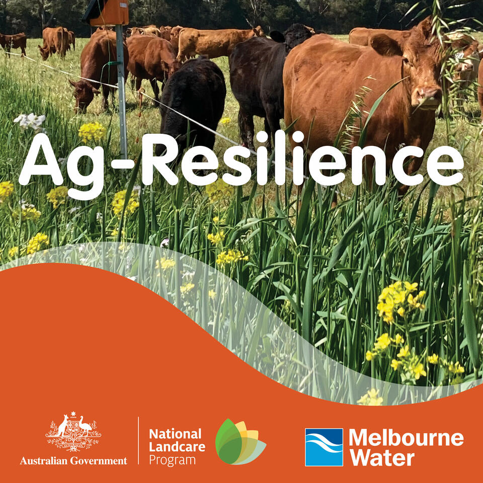 Ag-Resilience