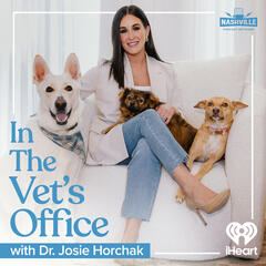 Bobby Bones: The Price of Bulldog Ownership, Camel Bites & More - In The Vet's Office with Dr. Josie Horchak