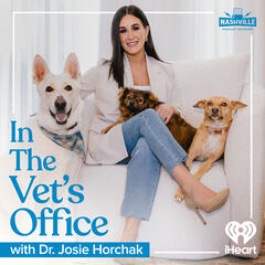 Dr. Amy Attas: NYC's Veterinarian to the Rich & Famous - Bobbycast