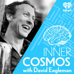 Ep58 "What do brains teach us about whether AI is creative?" - Inner Cosmos with David Eagleman
