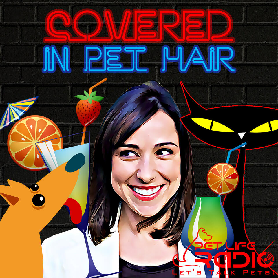 Covered In Pet Hair – A fun late-night pet podcast about dogs & cats - with games, alcohol, pop culture and pawsome guests!- Pet Life Radio Original (PetLifeRadio.com)