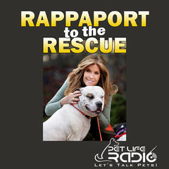 Rappaport To The Rescue - Paw 37:  Kicking Off the New Year with Major Horsepower! - Rappaport To The Rescue on Pet Life Radio (PetLifeRadio.com)