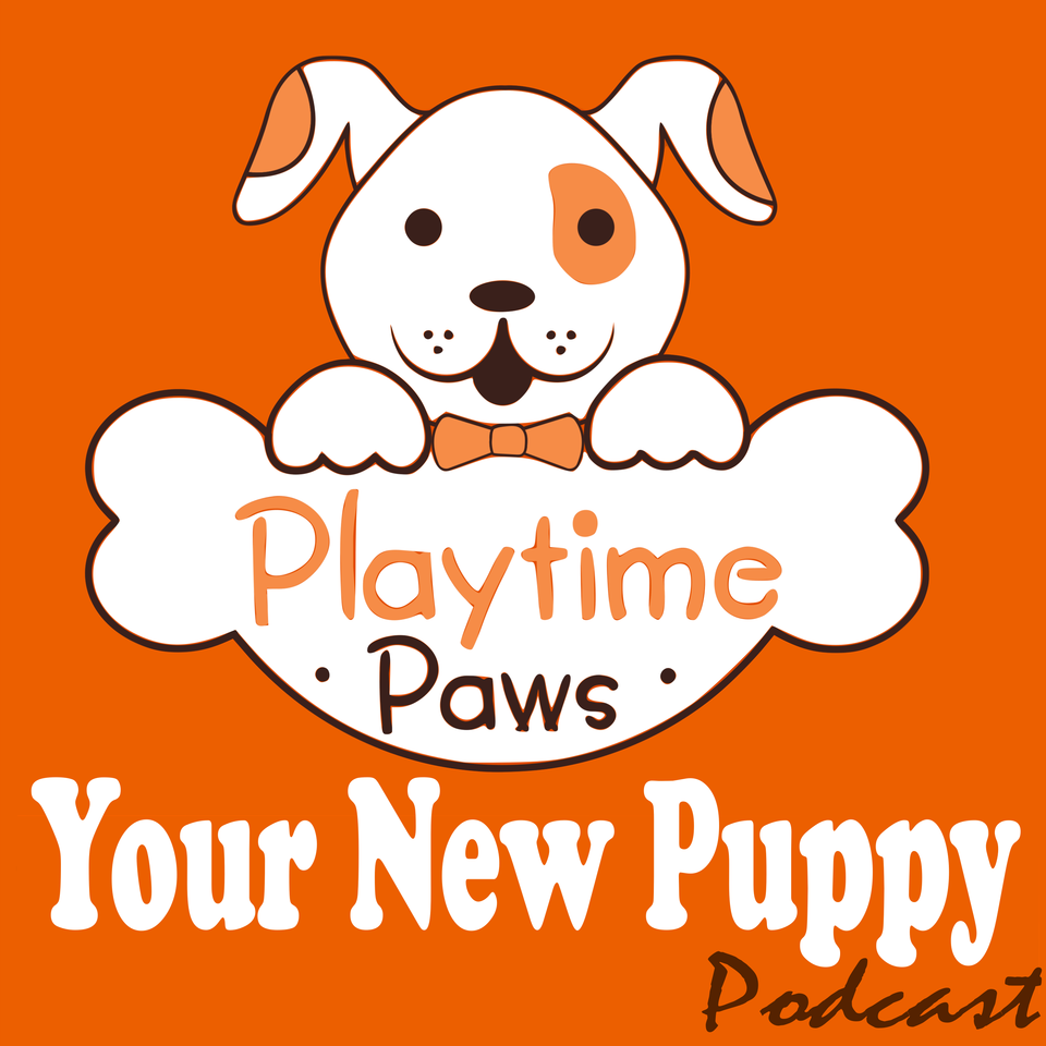 Your New Puppy: Dog Training and Dog Behavior Lessons to Help You Turn Your New Puppy into a Well-Behaved Dog