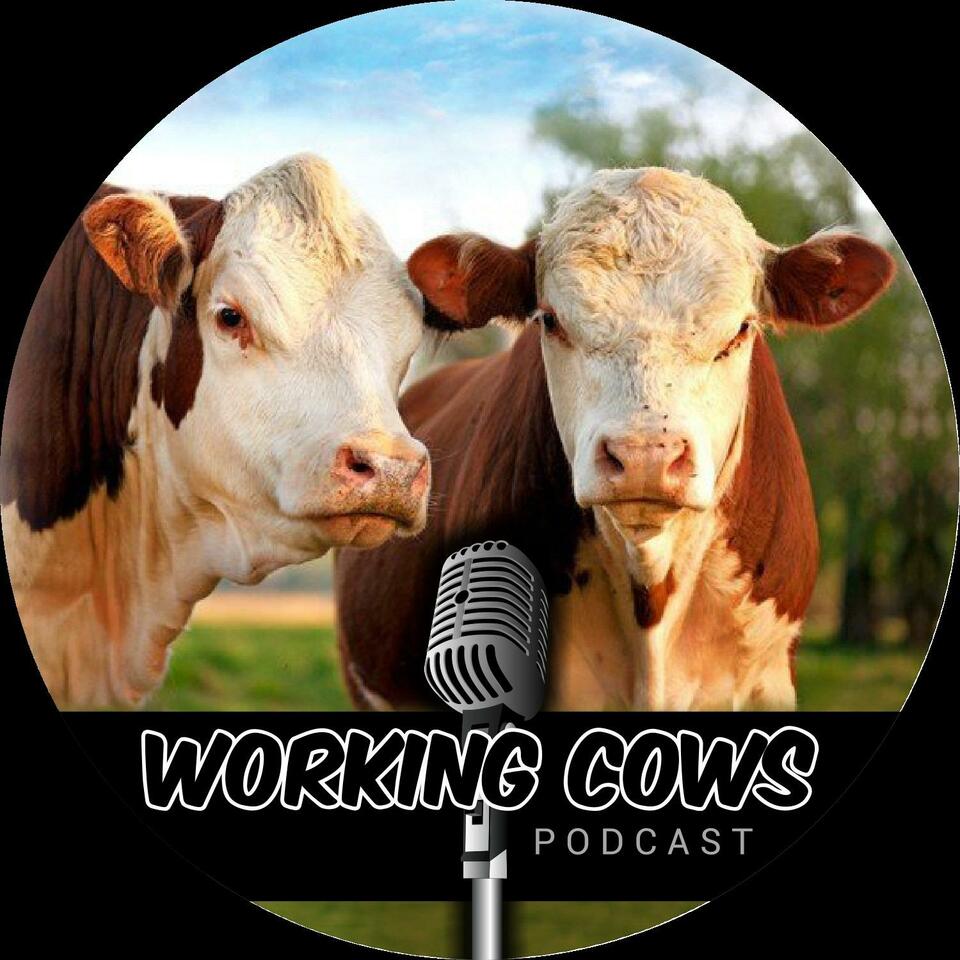 Working Cows - Regenerative Ranching to Maximize Profitability and Soil Health