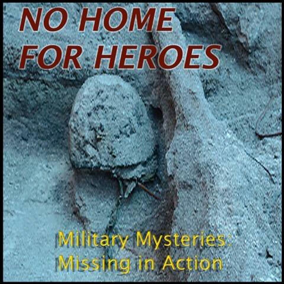 NO HOME FOR HEROES