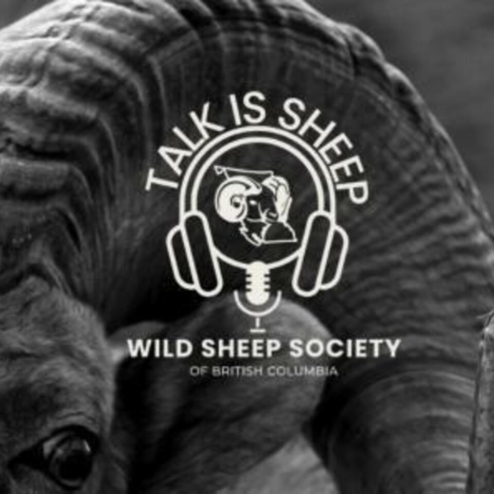 Talk Is Sheep