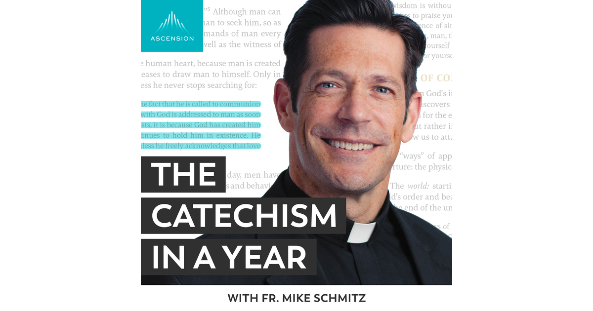 Day 138 Summary Of The Resurrection Of The Body 2024 The Catechism In A Year With Fr Mike