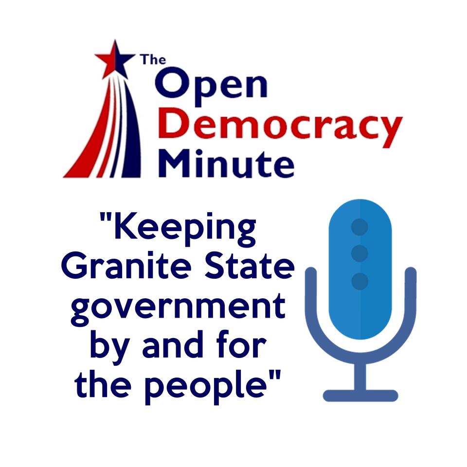 Open Democracy Minute