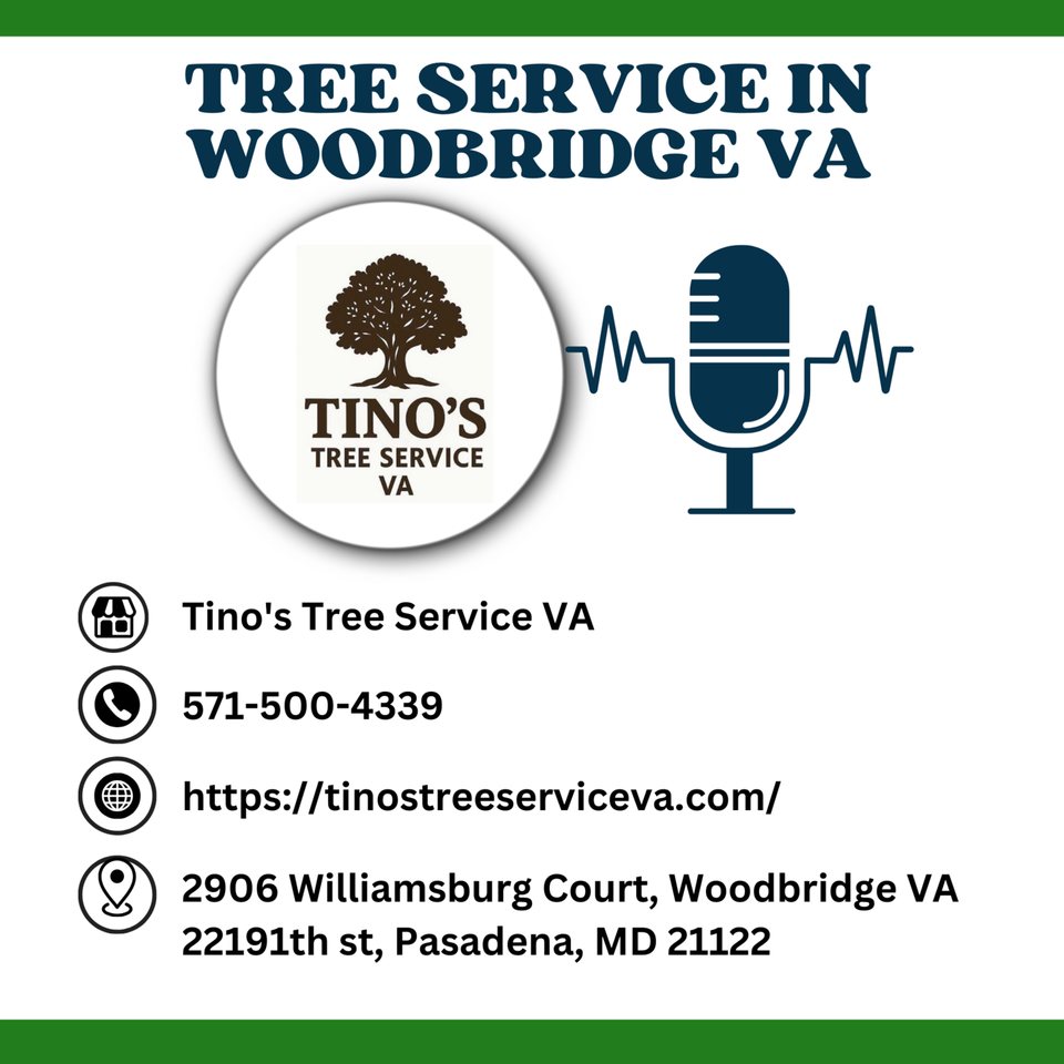 What happens if a tree falls on my home in Woodbridge VA?