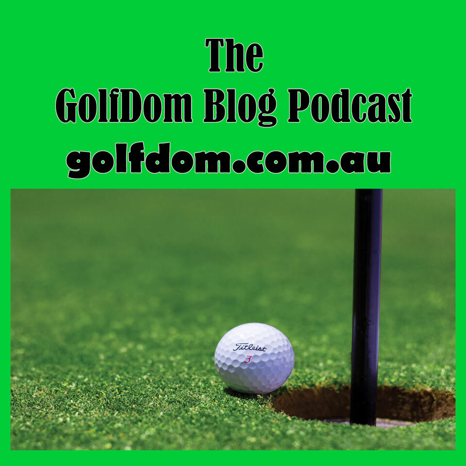 Robert Sudha Hamilton's Podcast