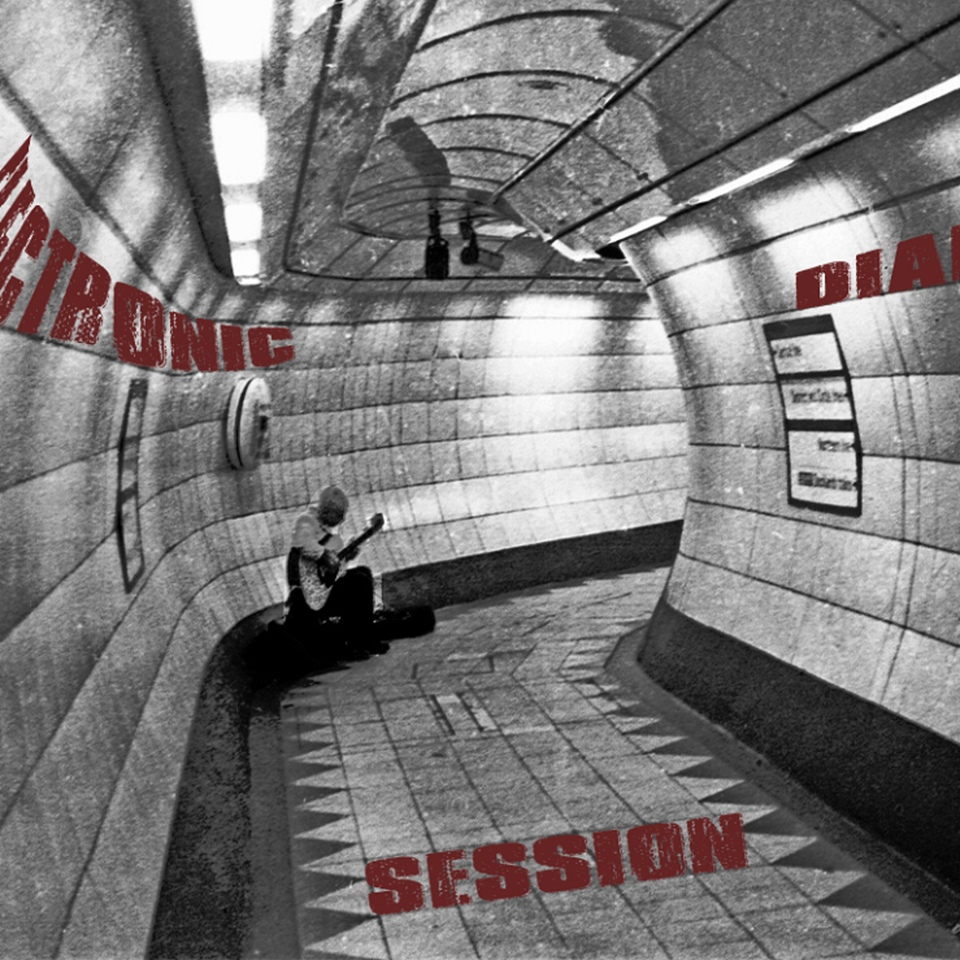Electronic Diary Session