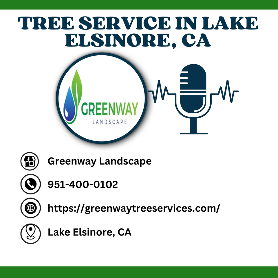 What happens if a tree falls on my home in Lake Elsinore, CA?