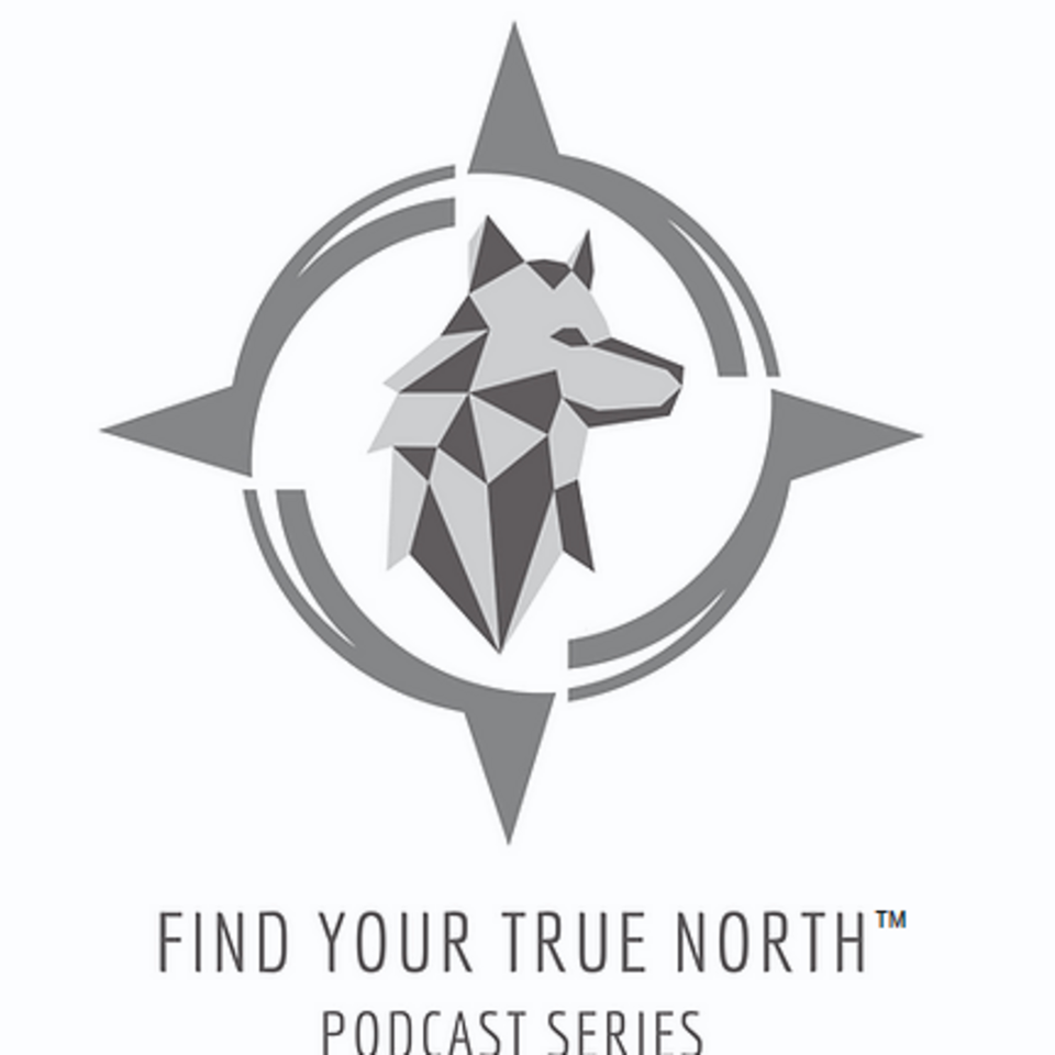 Find Your True North