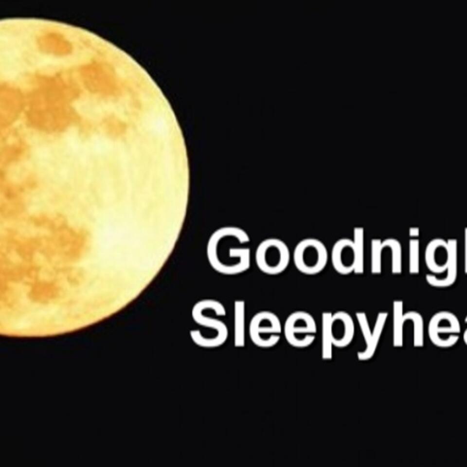 Goodnight Sleepyhead