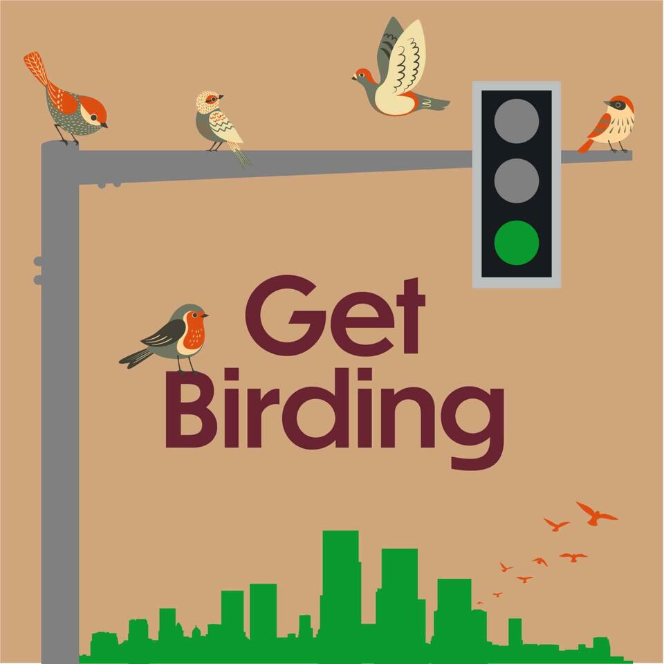 Get Birding