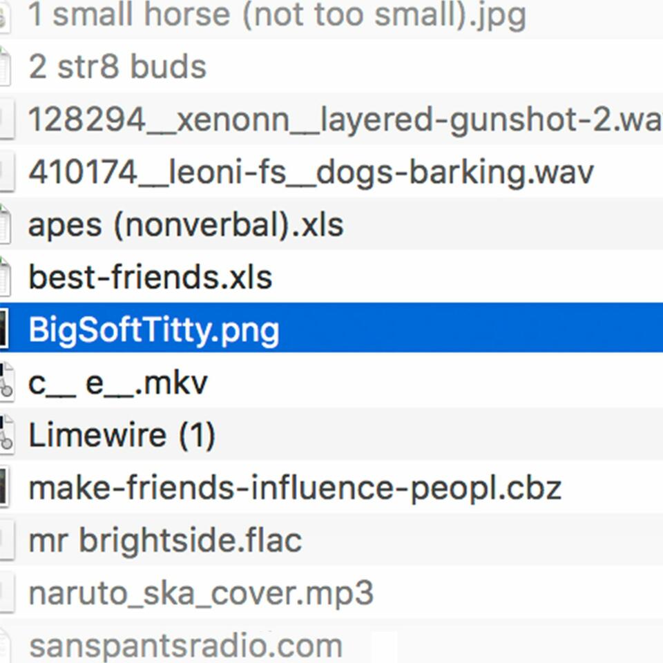 bigsofttitty.png