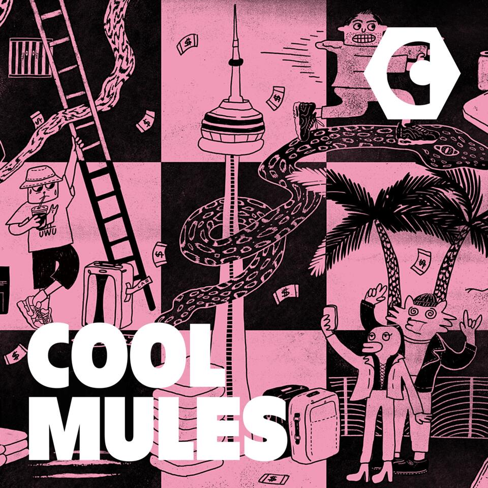 Cool Mules | Canadaland Investigates