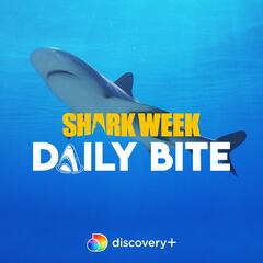 Shark Week: The Podcast