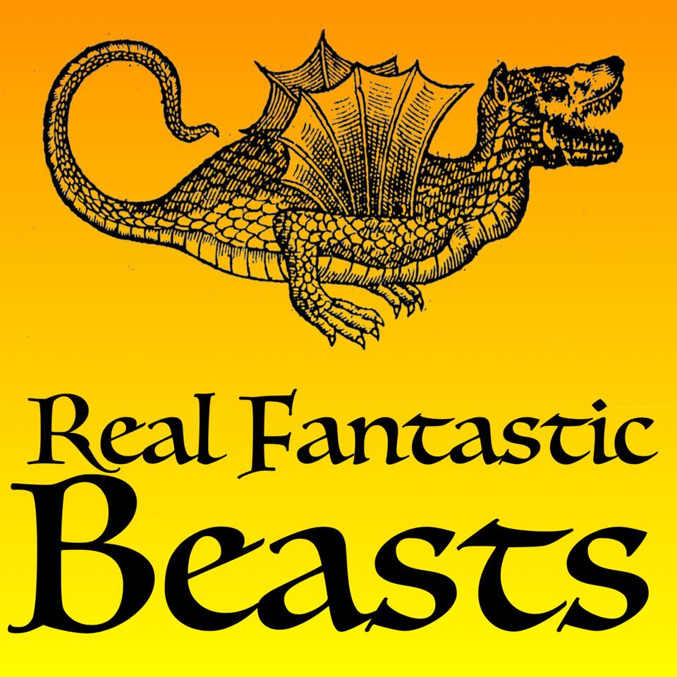 Real Fantastic Beasts
