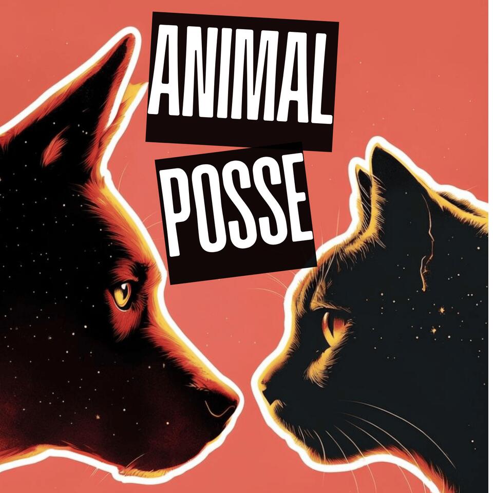 Animal Posse
