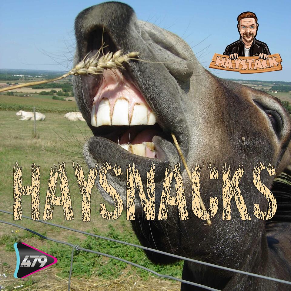Haysnacks
