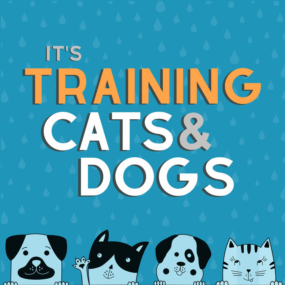 It's Training Cats and Dogs!