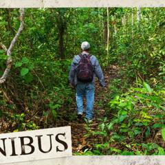 The Darien Gap (Entry 315.EZ3328) - Omnibus