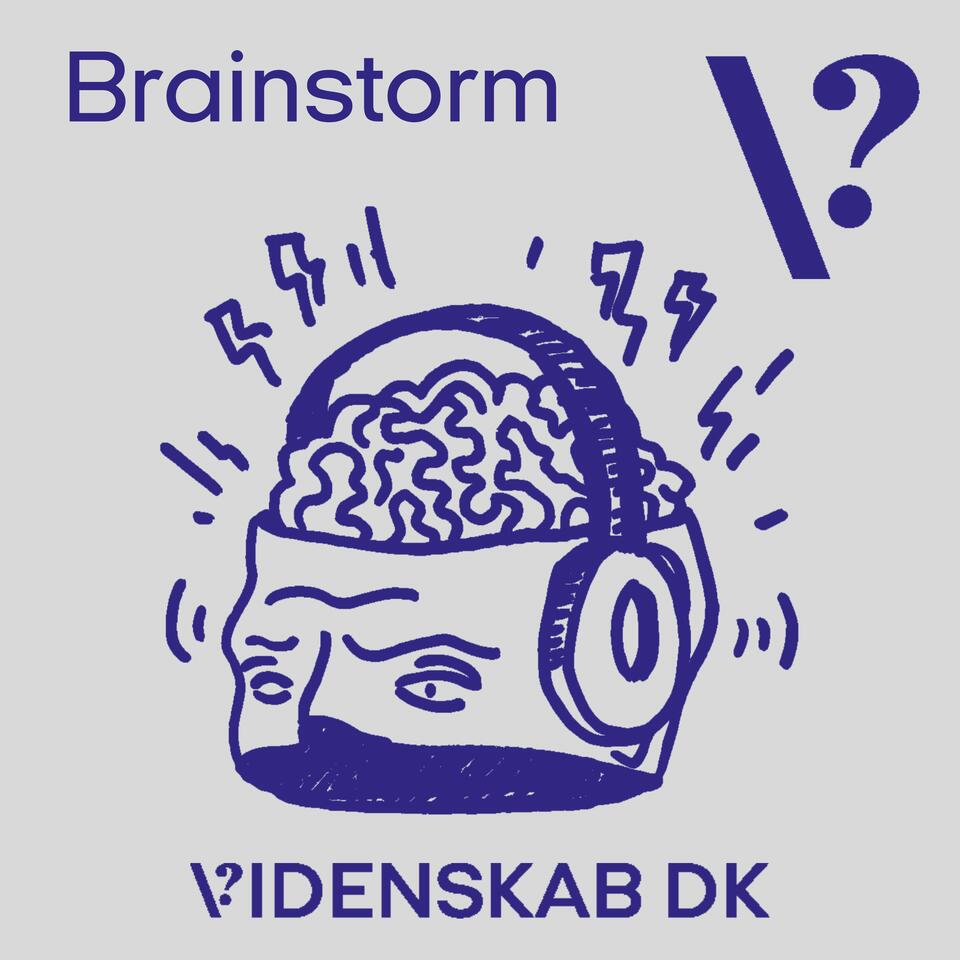 Brainstorm