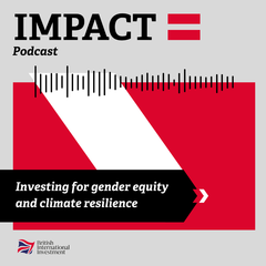 Investing for Impact