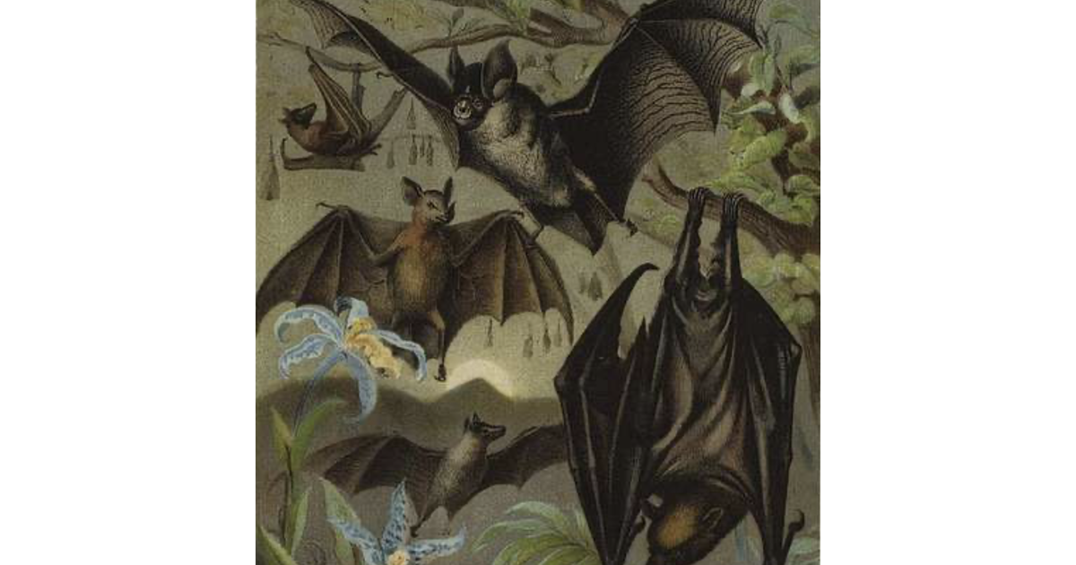 EUROPA CLIPPER TO SEEK JUPITER SYSTEM'S OTHERLANDS 2 /8 Otherlands A