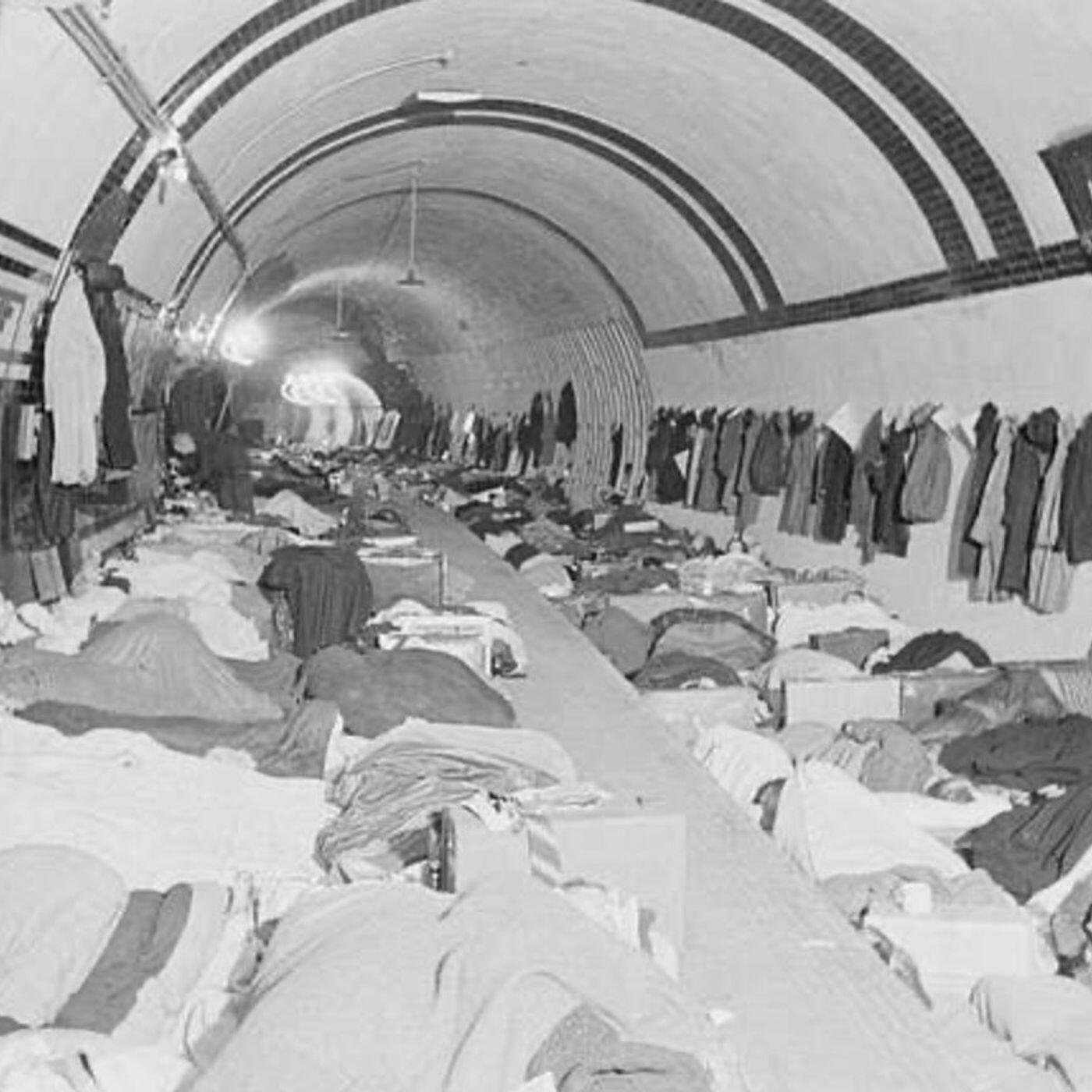 S8 Ep224: APPRENTICESHIP AT HENRY SOTHERAN'S ANTIQUARIAN BOOKSHOP Colleague