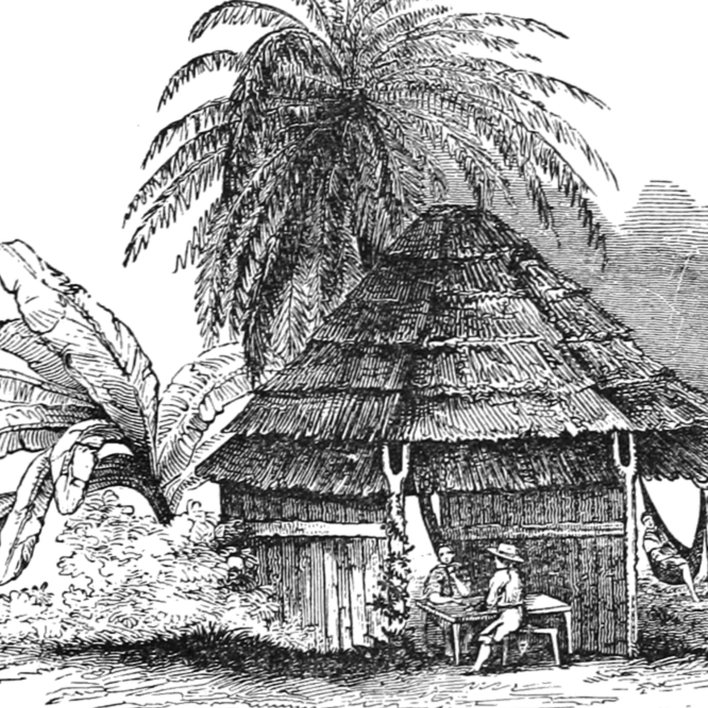 S8 Ep186: The Mirror of Great Britain and James I's Violent Childhood: Coll