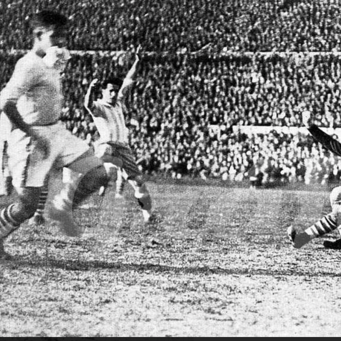 S8 Ep211: ARGENTINA'S CREDIT RATING RISES AS BRAZIL FACES POLITICAL POLARIZ