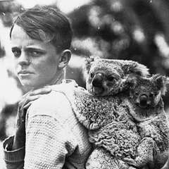 S8 Ep222: VENOMOUS SNAKES ON BEACHES AND A KOALA RESCUE Colleague Jeremy Zakis. Due to extreme heat and population growth, Eastern Brown snakes are appearing in unusual locations, such as inside surfers' bags on sandy beaches. Zakis also recounts a heartwarming sto - The John Batchelor Show