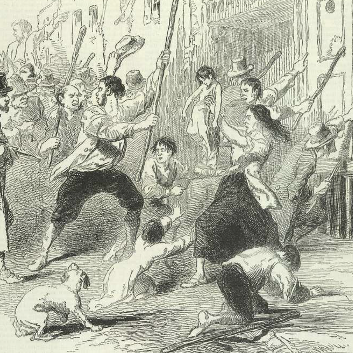 S8 Ep224: cTRADE SEMINARS, HEALTH INSPECTIONS, AND A PROPER DESK Colleague 