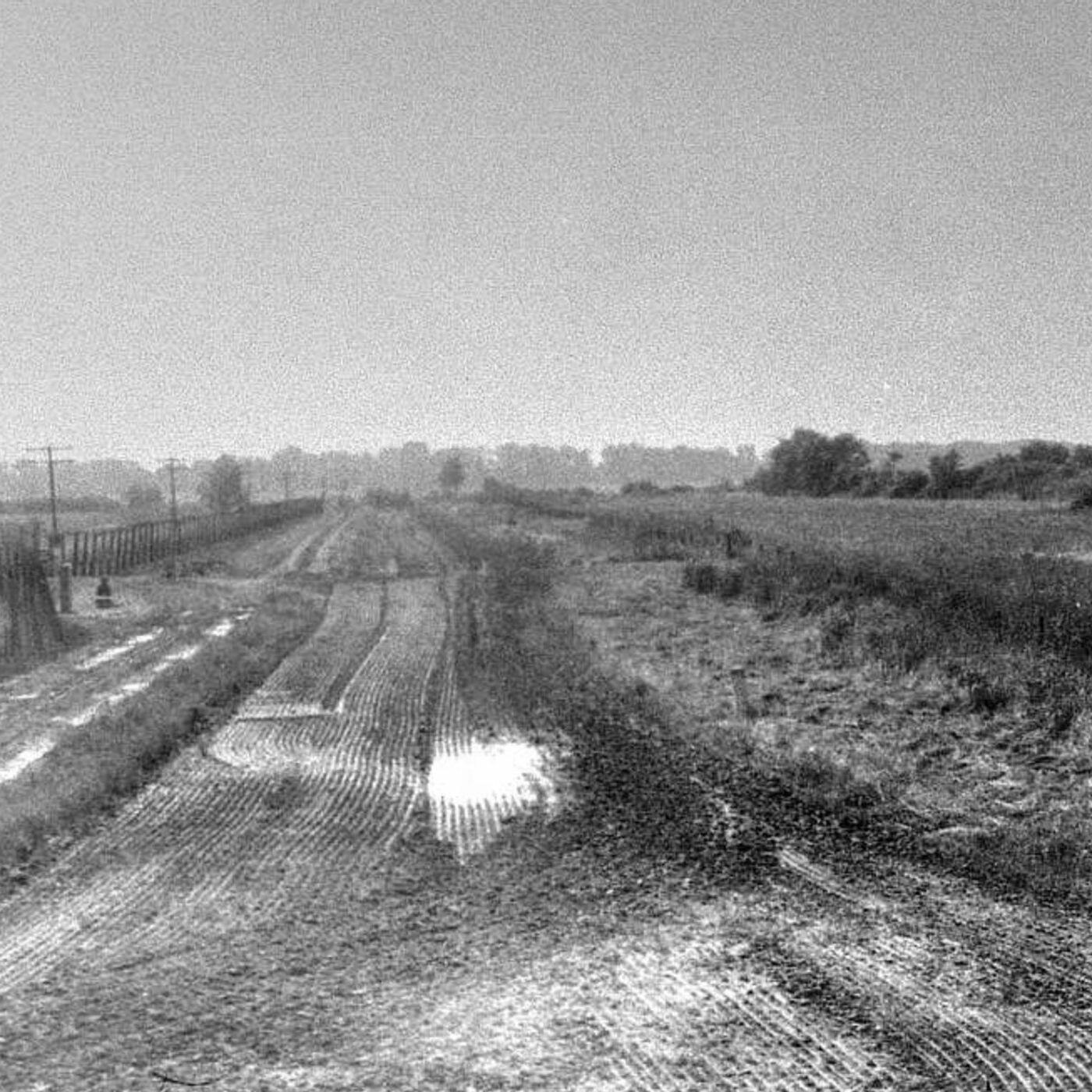 S8 Ep242: Professor Matthew Longo. Reflecting on the site thirty years late