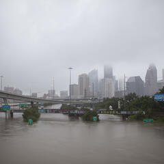 Hurricane Season