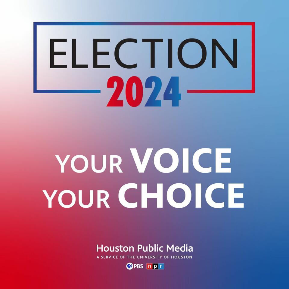 Houston Election 2024