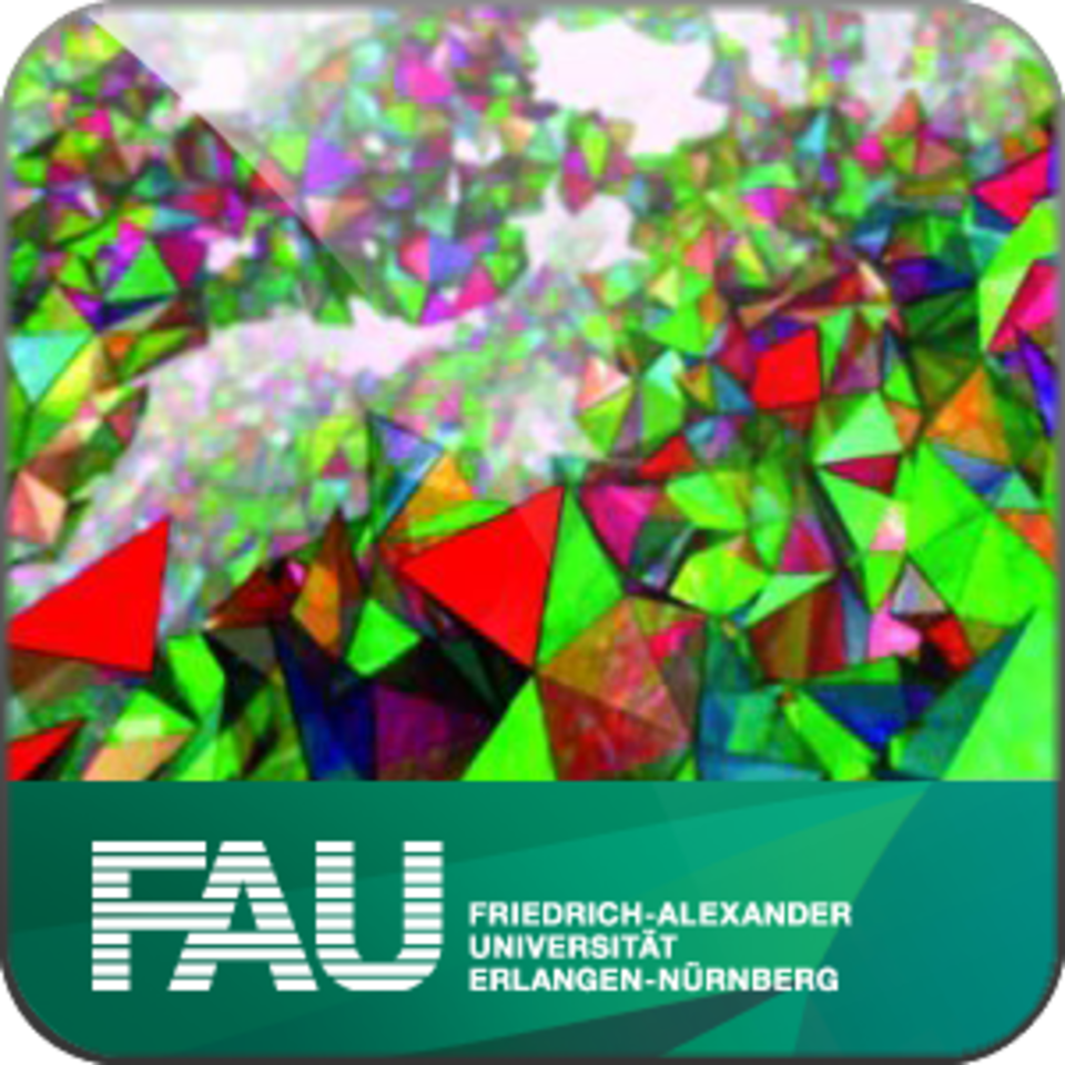 First Erlangen Fall School on Quantum Geometry Course ID:171