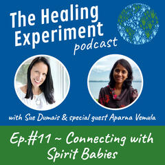 Ep 11: Connecting with Spirit Babies with Aparna Vemula - The Healing Experiment