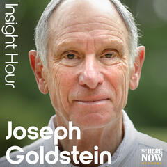 Ep. 84 – Working With Thoughts - Insight Hour with Joseph Goldstein
