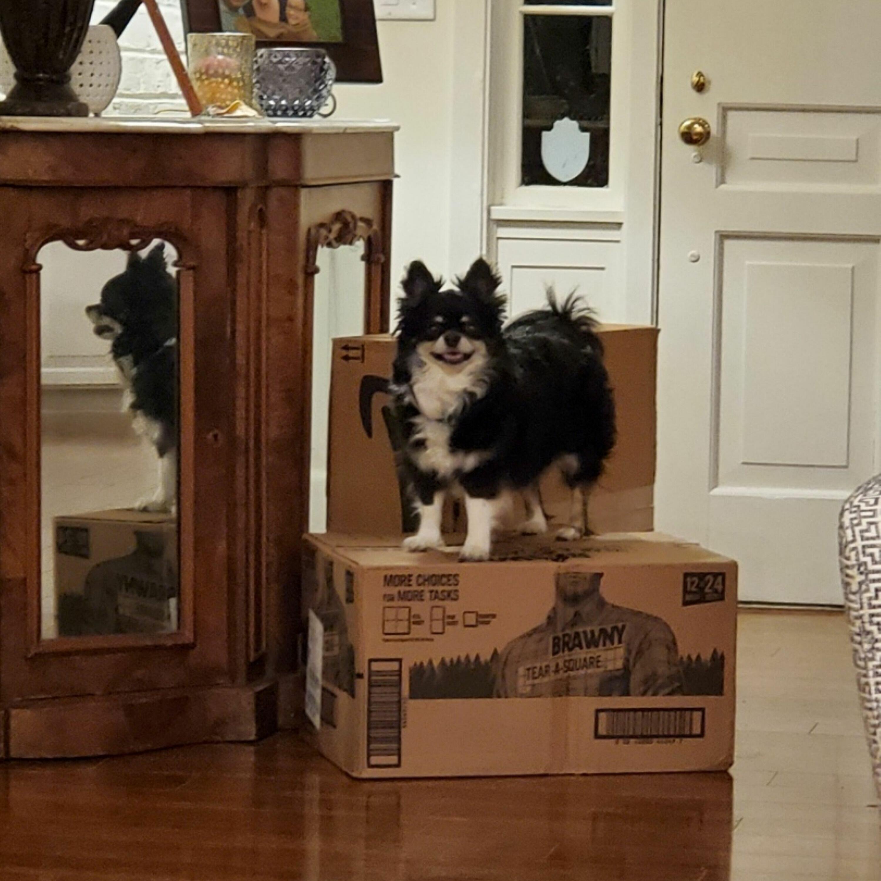 Murphy, Sam & Jodi - AFTER THE SHOW PODCAST: AI Issues.