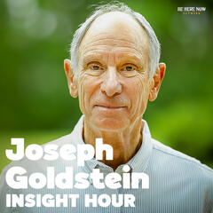 Ep. 84 – Working With Thoughts - Insight Hour with Joseph Goldstein