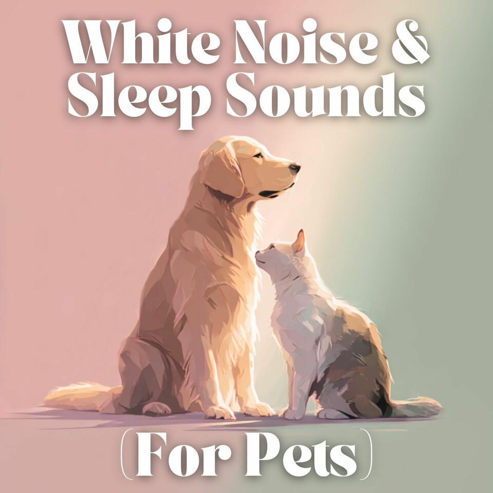 White Noise and Sleep Sounds (For Pets)