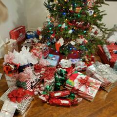After The Show PODCAST: Tree Critters. - Murphy, Sam & Jodi